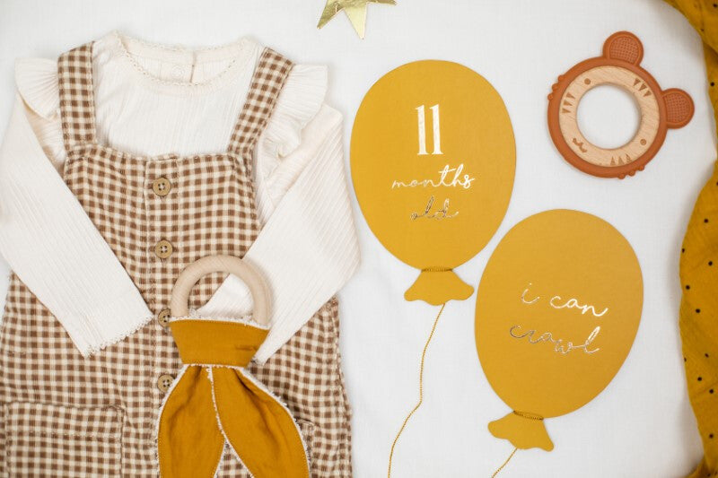 PDKDZ1_1